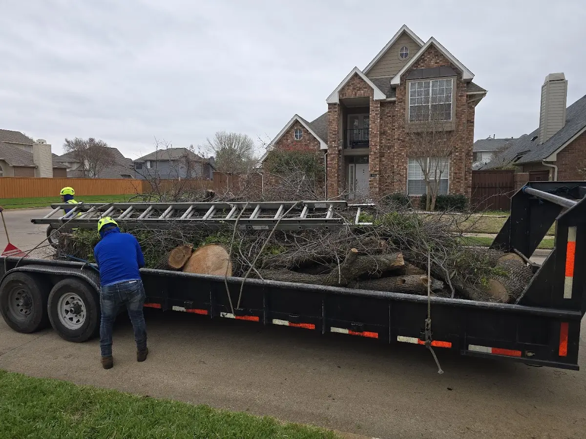 Expert Lot Clearing with proper safety equipment in Peru